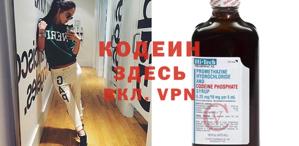 хмурый Алексин