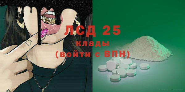 хмурый Алексин