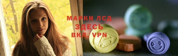 хмурый Алексин
