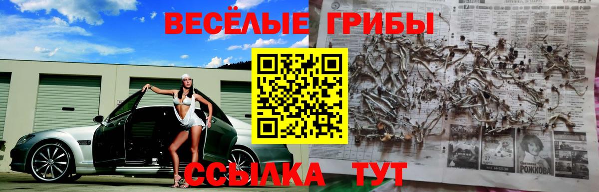 Анжеро-Судженск  Галлюциногенные грибы ЛСД  Вход с VPN 