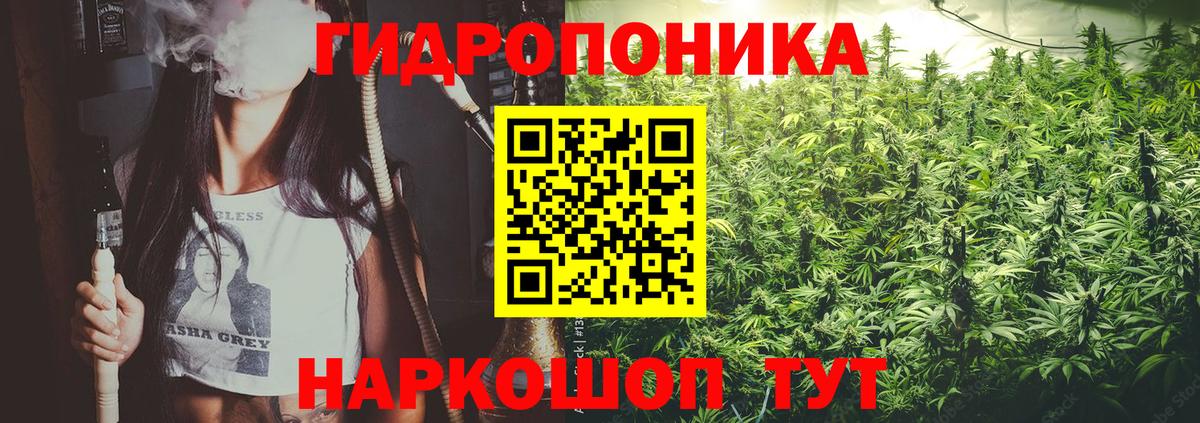 Бошки марихуана планчик Анжеро-Судженск